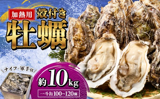 【2026年2月以降発送】殻付き牡蠣(加熱用)　一斗缶（約10kg）【加熱用 ガンガン焼き ナイフ付き 殻付き 一斗缶 海鮮 魚介類 海産物 オイスター】