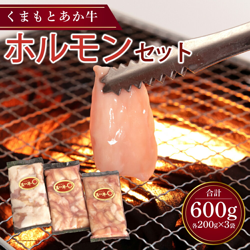 【ふるさと納税】くまもと あか牛 ホルモン セット 合計600g (200g×3袋) 小腸 焼肉 鉄板焼き もつ鍋 お肉 牛肉 和牛 赤牛 熊本県産 九州産 国産 冷凍 送料無料