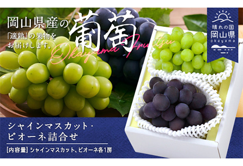 岡山県産「シャインマスカット・ニューピオーネ」詰合せ 約1.0kg