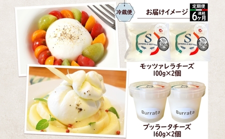 チーズ 6ヶ月 定期便 詰め合わせ 各2個 フレッシュ チーズ