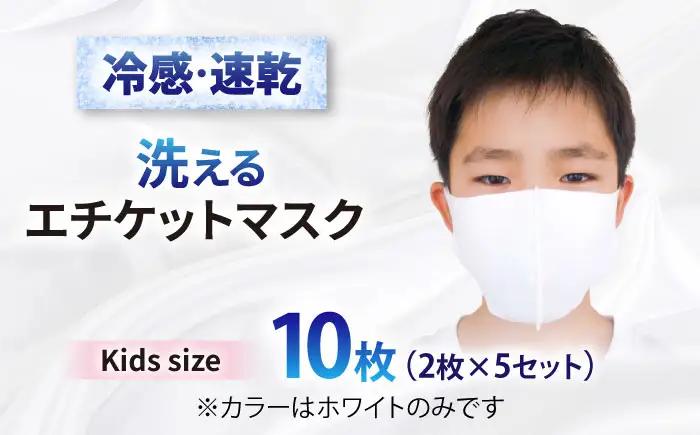 マスク エチケットマスク スモールサイズ 10枚 [ANEA007] マスク