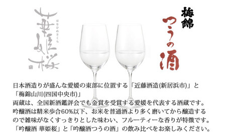 ２蔵（華姫桜・梅錦）飲み比べ「吟醸酒1.8L×２本」と「ひのき枡（8勺）」【近藤酒造（新居浜市）・梅錦山川（四国中央市）】