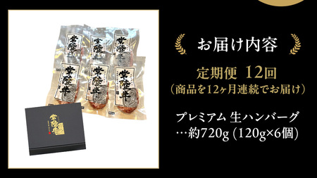 【12ケ月定期便】【茨城県共通返礼品】 黒毛和牛 常陸牛 100% 特製 プレミアム 生ハンバーグ 合計8640g（120g × 6個 × 12回 ）