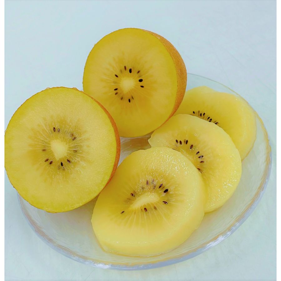 ＜Zespri＞愛媛県産「サンゴールドキウイ」中玉～大玉１０～15個