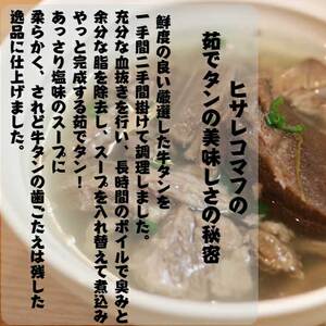 牛タン 120g × 10個 出汁 牛たんセット 塩タン 