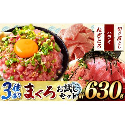 ふるさと納税 君津市 清幸丸水産 大人気 ! 天然まぐろ3種盛り 各1パックお試しセット　★メディアでも紹介