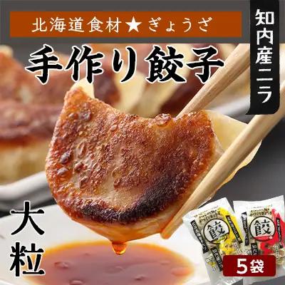 餃子 北海道の食材たっぷり！手作り餃子５袋セット スリーエス
