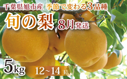 【 先行予約 】【 8月発送 】旬の梨 約5kg 幸水 豊水 あきづき 12 ～ 14玉 梨 なし 梨産地 甘い 旬 夏果物 2025年発送 先行予約 果肉 しゃりしゃり 水水しい みずみずしい 糖度 くだもの 果物 フルーツ 旬のフルーツ 冷蔵 ふるさと納税 産地 送料無料 千葉県 千葉 旭市 旭市産 まる吉園 mkn003