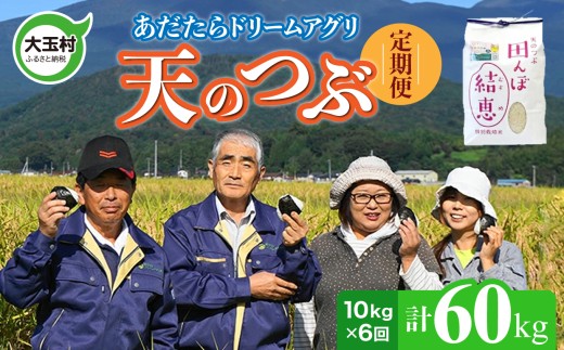 【 令和7年産 】【 おいしいお米コンクール 受賞米 あだたらドリームアグリ（株）】 天のつぶ 60kg ( 毎月10kg × 6回) 福島県 大玉村 てんのつぶ テンノツブ  定期便