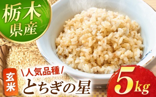 とちぎの星 玄米 5kg  |お米  米 白米 玄米 おにぎり 日本 主食 米 おいしい おこめ 5kg 10kg 20kg 30kg 栃木県 真岡市 送料無料【栃木県 真岡市産】