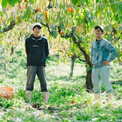 ふるさと納税 松江市 【数量限定】秀品 とろ〜り甘さの極み!柿の里の西条柿 5kg 島根県松江市【マルカミ農縁株式会社】 |  | 03