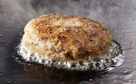 おやじのつくったハンバーグ 120g×8個 佐賀牛 ハンバーグ 吉野ヶ里町/雄勝[FDW001]