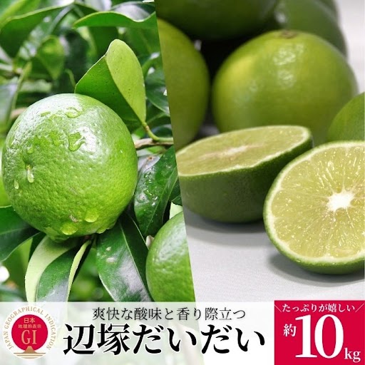 【A20008】<先行受付！2025年9月中旬以降発送！>辺塚だいだい 青果 10kg