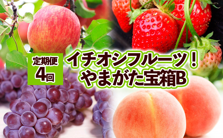 
            【定期便4回】イチオシフルーツ！やまがた宝箱B  FY25-822
          
