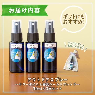ふるさと納税 いちき串木野市 <平川動物公園との共同開発>アウトドアスプレー 3本セット サワーポメロと廃棄ユーカリブレンド |  | 01
