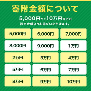 あとからセレクト【ふるさとギフト】寄附50,000円相当  YAS010