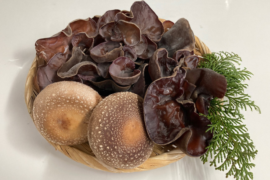 きのこ しいたけ きくらげ 生椎茸 生きくらげ 箱入りセット 3回 定期便 [きのこ屋 長崎県 平戸市 hr42bgy410164] 有機 有機JAS 有機栽培 有機きのこ 有機しいたけ 箱入り ギフ