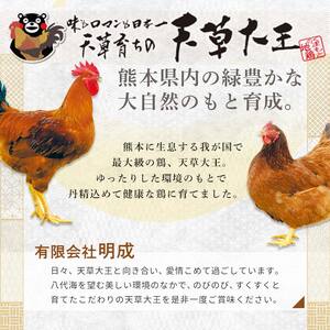 天草大王　簡単調理セット FKP9-336