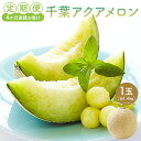 【ふるさと納税】 定期便 千葉アクアメロン1玉（1.4Kg） 4か月連続お届け 高評価レビュー 大人気 最高級品 厳選 メロン 化粧箱入り フルーツ 果物 デザート 農園 千葉県 南房総市 お取り寄せ グルメ 送料無料