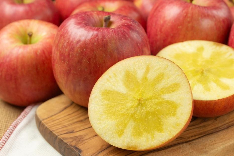 
            【2025年発送】一度は食べてみたい！高徳りんご　約2kg（5～12玉）
          