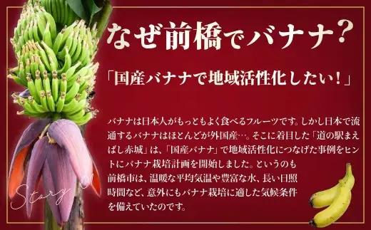 バナナ 桐箱入り 国産高級バナナ 贈答用５本入り