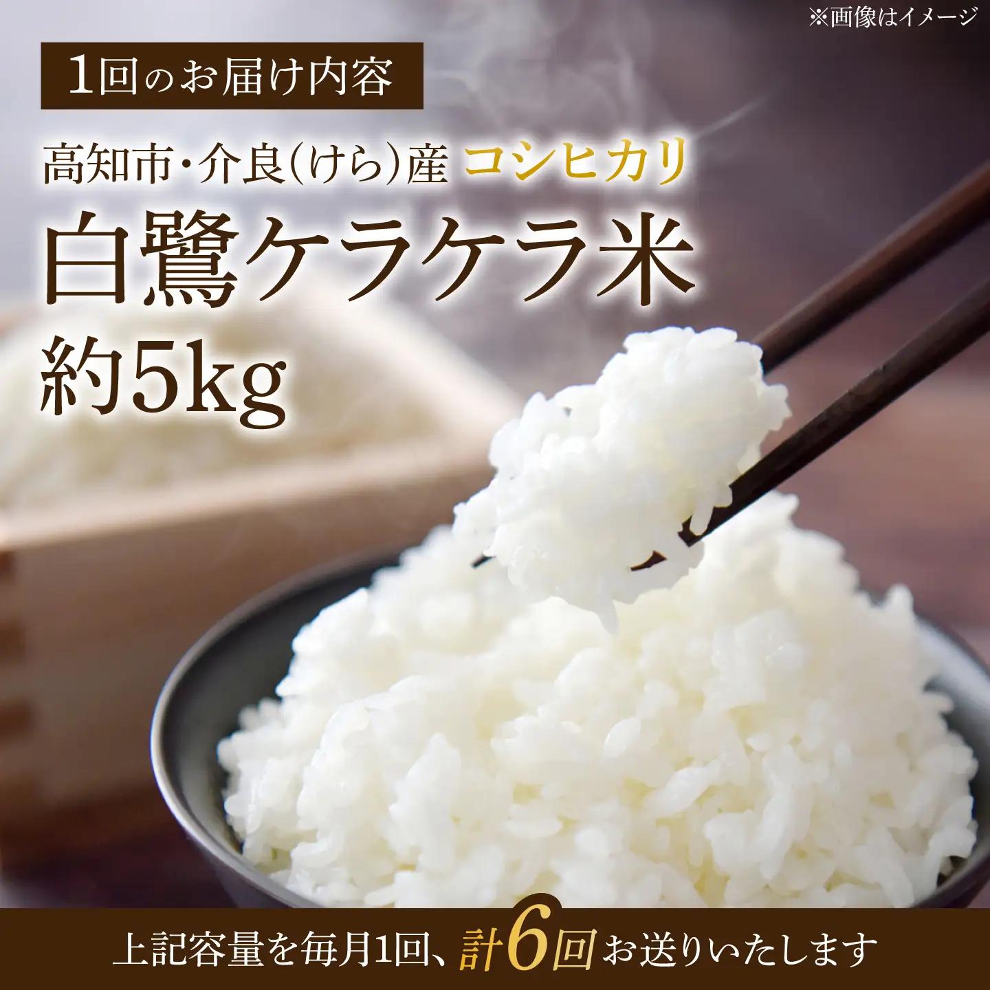 【6回定期便】 R8年度産 特別栽培米 農薬節減！ 白鷺ケラケラ米 コシヒカリ 各約5kg 合計約30kg / 高知 米 お米 精米 　【津ノ宮農園】[ATBV013]