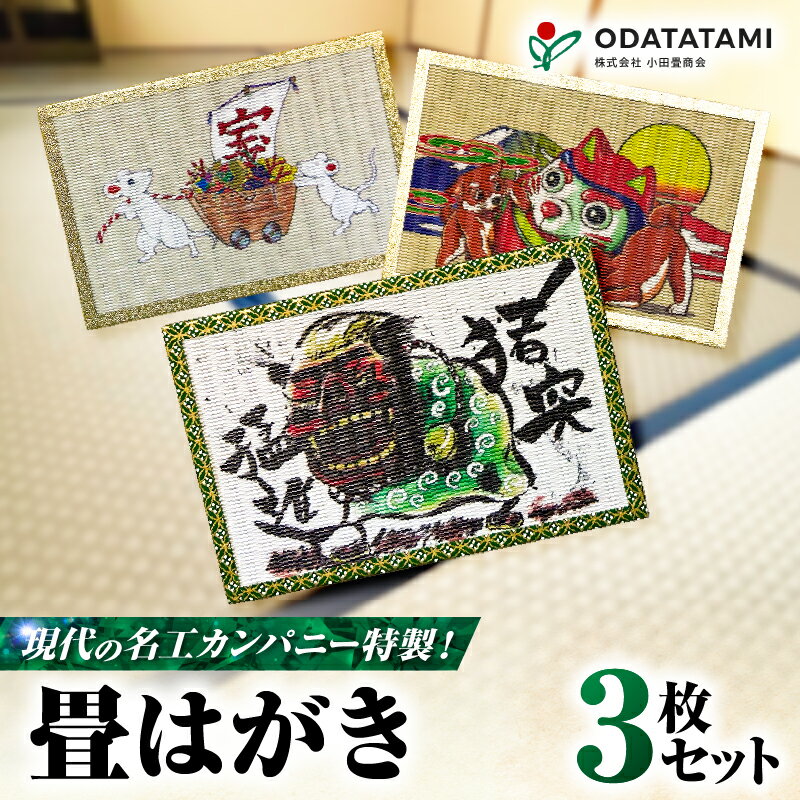 【ふるさと納税】 現代の名工カンパニー特製 畳はがき はがき 3枚 セット ハガキ 葉書 ポストカード 郵便 畳 たたみ 絵柄 干支はがき 干支 受賞 壁飾り 小物置き 花瓶置き インテリア 小田畳商会 ふるさと納税 鹿児島 鹿児島市 おすすめ ランキング プレゼント ギフト