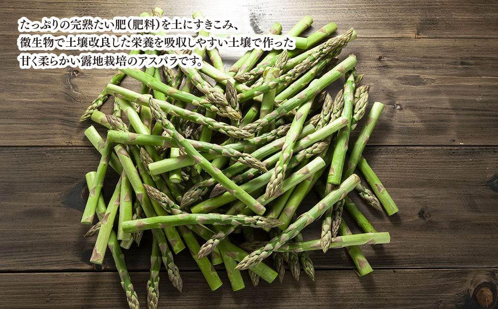【2026年先行予約】朝採りアスパラ Lサイズ 2kg(500g×4)鮮度保持パック入り 旭川近郊産 露地物(5月中旬発送開始予定) 【 アスパラ アスパラガス 朝採り とれたて 野菜 旬 小分け 保