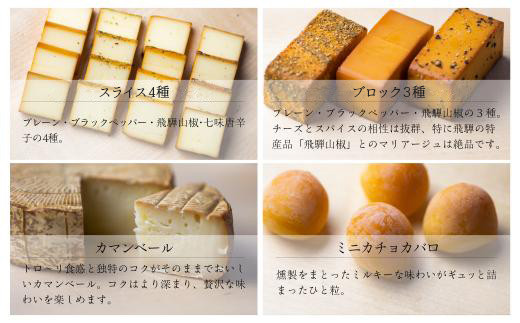 スモークチーズ セット スライス4種 ブロック3種 カマンベール ミニカチョカバロ ( スモークチーズスライス ・ スモークチーズブロック ・ カマンベールチーズ ・ ミニカチョカバロチーズ ) 飛騨