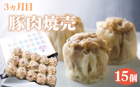 【毎月定期便5回】 紅宝石 サファイア 15個入り ／ 焼売 シュウマイ 冷凍食品 定期便 中華点心 手包み レンジ調理 手軽 時短 食べ比べ 月替わり 惣菜 家庭用 本格 夕食 おかず ストック グ