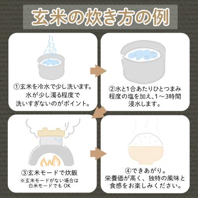 ふるさと納税 小松島市 【2025年9月より順次発送】コシヒカリ 玄米 5kg 特別栽培米 新米 一等米 こめ お米 健康 |  | 02