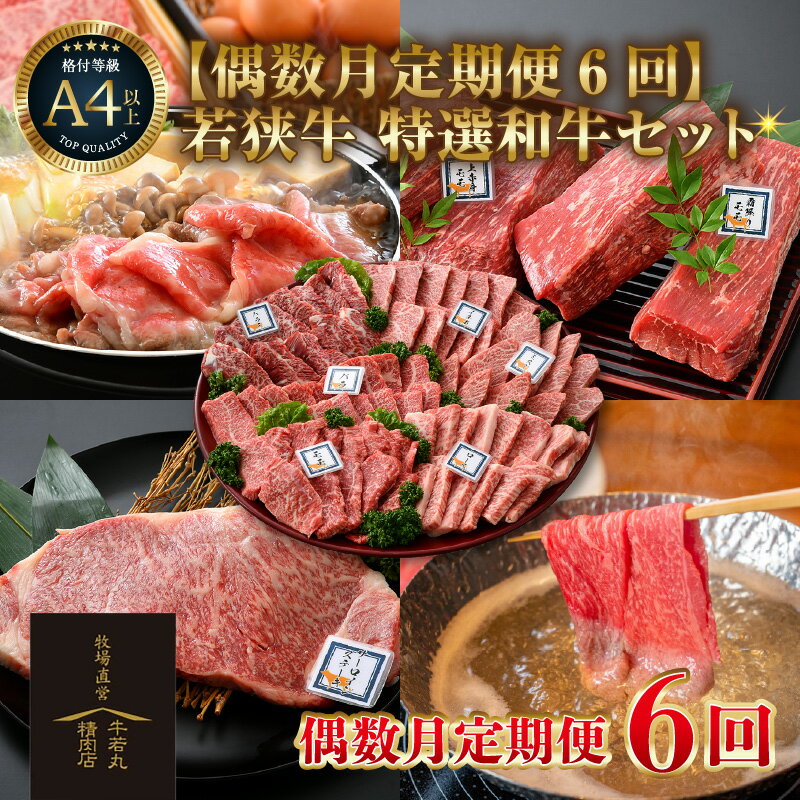 【ふるさと納税】【偶数月定期便6回コース】若狭牛 特選和牛セット（焼肉・モモブロック・ステーキ・しゃぶしゃぶ・すき焼き） ／ 国産 牛肉 ブランド牛 贅沢 A4 A5 ギフト アウトドア 福井県 あわら市 ギフト サンビーフ斎藤牧場直営 正月 クリスマス
