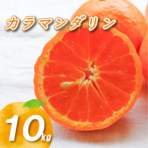 【4月中旬より発送】カラマンダリン 10kg | 数量選択可 みかん ミカン 蜜柑 柑橘 数量限定 愛媛県産 松山市 中島 低農薬 愛媛 ふるさと納税【NO0381】