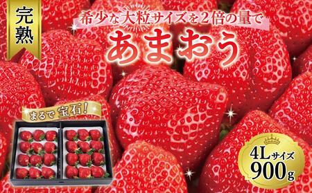 【今期発送の受付は2025年4月27日(日)まで】まるで宝石！希少な大粒サイズを2倍の量で！「完熟あまおう」4Lサイズ900g入り