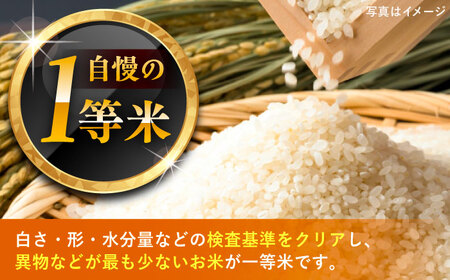 上矢作産 農家自慢のこしひかり（精米）6kg [AUAL001]こしひかり