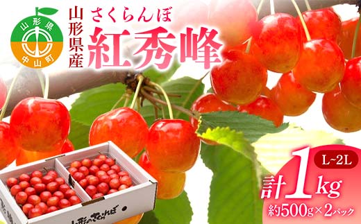 《2026年先行予約》 山形県産 さくらんぼ 紅秀峰 約500g×2パック（L～2Lサイズ）特秀 果物 フルーツ 山形県 中山町 F4A-0418