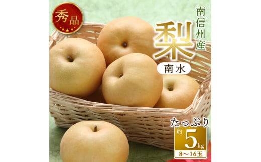 【南信州産】梨「南水」秀品約5kg（8玉～16玉） 2025年9月中旬より発送 長野県 信州 高森町 産地直送 果物 くだもの なし ナシ 和梨 旬 旬の果物 旬の梨 なんすい ギフト 贈答 JAみなみ信州