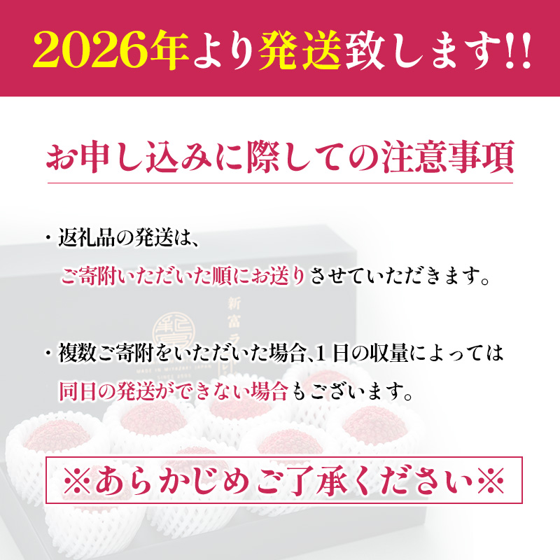 ［2026年発送］先行予約 希少！国産＜新富ライチpremium50＞50g以上×8玉 国産 ブランド フルーツ 果物 贈答品【C52-26】_イメージ5