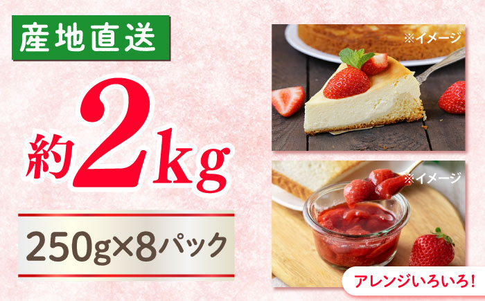 【風味豊かな香り】西海市産いちご「かおりの」2kg（250g×8パック）＜武藤農園＞ [CFV002]