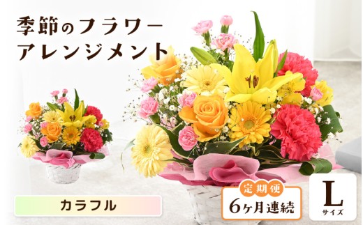 定期便 ≪6ヶ月連続お届け≫ 選べるカラー 季節のフラワーアレンジメント L (カラフル) 【お花 フラワー アレジメント 花束 ギフト 生花 プレゼント 花束 花 記念日 敬老の日 お祝い】 [K-20701_03]