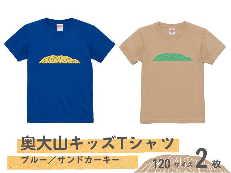 
奥大山キッズTシャツ2枚(A)ブルー／サンドカーキー【120サイズ】A120-2 1011
