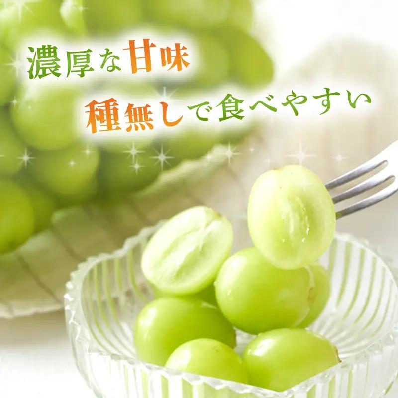 ぶどう 2026年 先行予約 ご家庭用 シャイン マスカット 2～3房 合計約1.2kg 岡山県産 シャイマスカット