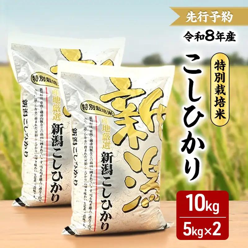 【先行予約】コシヒカリ 特別栽培米 三和区 新米 10kg コシヒカリ
