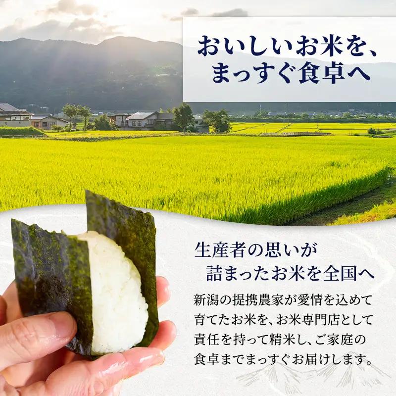 コシヒカリ ブレンド米 新潟県産5㎏ こしひかり