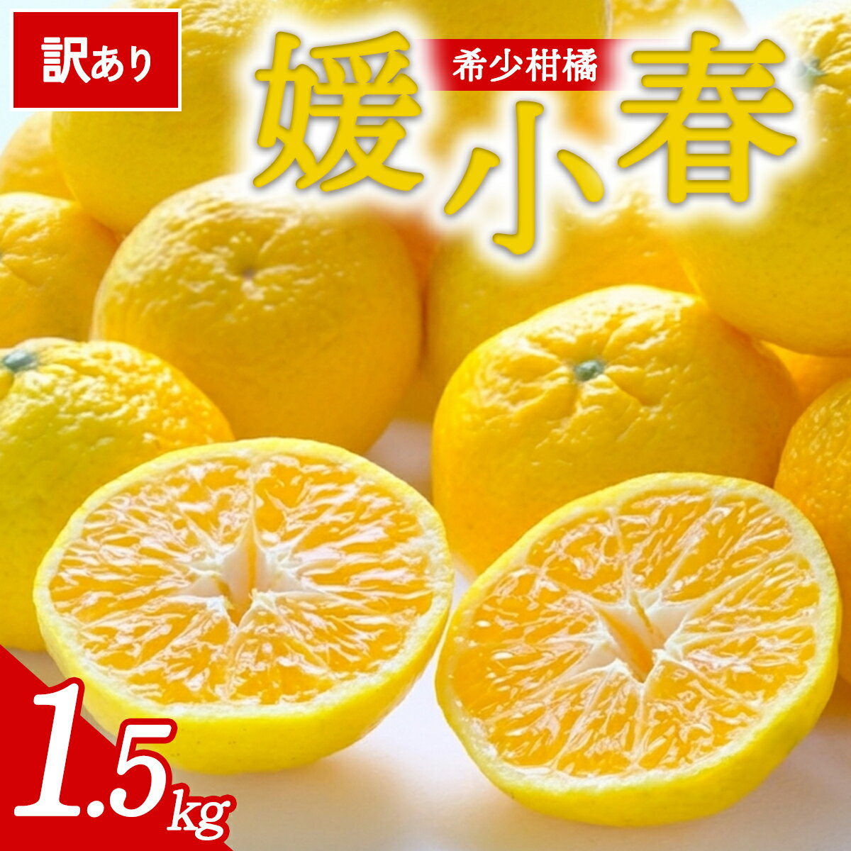 【ふるさと納税】【先行予約】＜訳あり 愛媛県産 媛小春 合計約1.5kg＞ 『2027年1月以降順次出荷予定』ひめこはる 幻の柑橘 ご家庭用 ご自宅 蜜柑 愛媛県産 果肉 お試し 果物 柑橘 フルーツ オレンジ 国産 濃厚 産地直送 ミヤモトオレンジガーデン 愛媛県 西予市【常温】