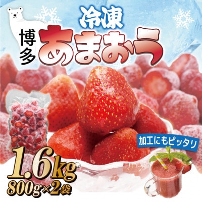 福岡県産冷凍あまおう1.6kg(800g×2袋)(岡垣町)【配送不可地域：離島】