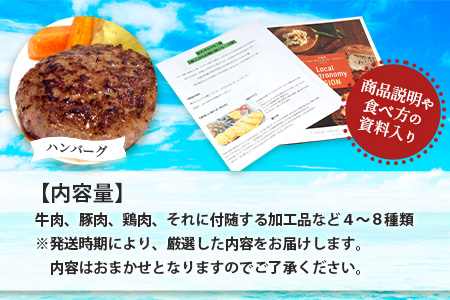 先行予約【新感覚】石垣島の「お肉」詰め合わせ～タカラモノお肉便～【 沖縄 石垣 石垣島 八重山諸島 お肉 南国 詰め合わせ 】SH-6