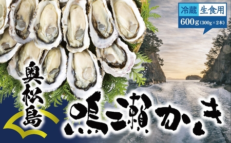 【12月後半発送】牡蠣 鳴瀬かき 生食用 【期間限定】 600g (300g × 2) 宮城県 奥松島 鳴瀬 牡蠣 かき カキ 生かき 生牡蠣 オイスター むき身 宮城県 東松島市