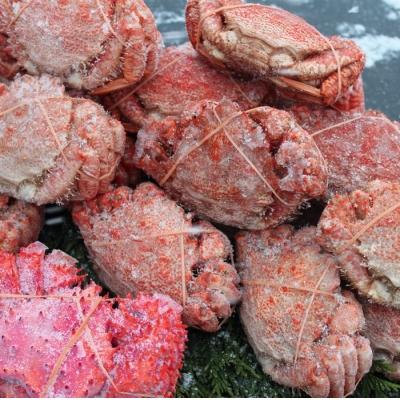 ふるさと納税 根室市 【北海道根室産】クリガニ18〜22尾(4kg前後)、花咲ガニ1尾 B-57023