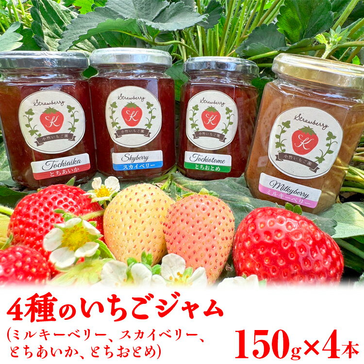 【ふるさと納税】【数量限定】無添加 4種のいちごジャム（ミルキーベリー スカイベリー とちあいか とちおとめ）｜ 栃木県 さくら市 イチゴ 苺